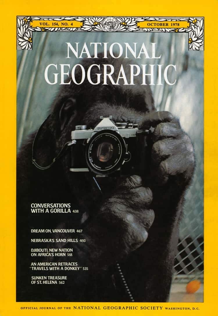 Guide to AI Photography: Recreate Iconic National Geographic Covers with AI (Prompts Included!)